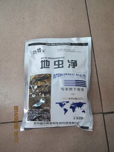 1000Gس澻